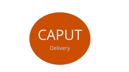 CAPUT Delivery